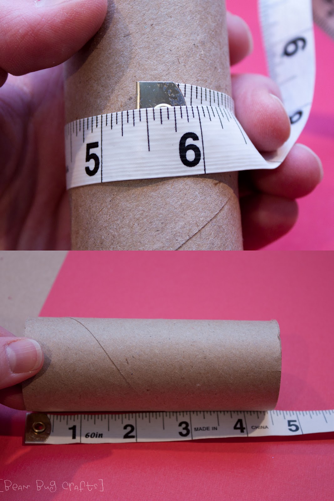 What is the Circumference of a Toilet Paper Roll