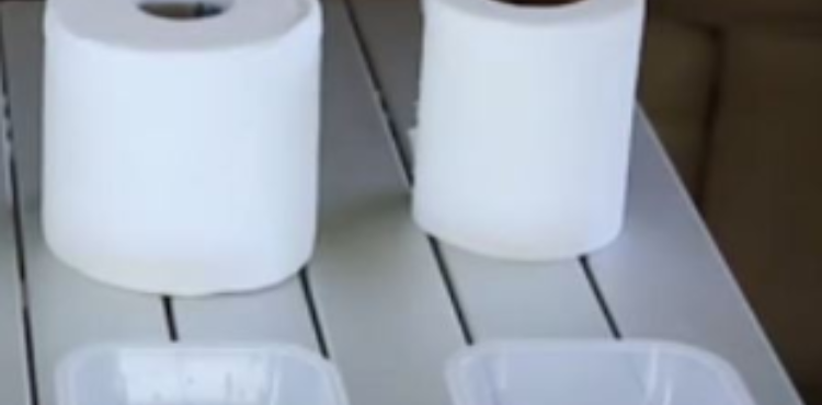 What Brand of Toilet Paper is Best for Rv