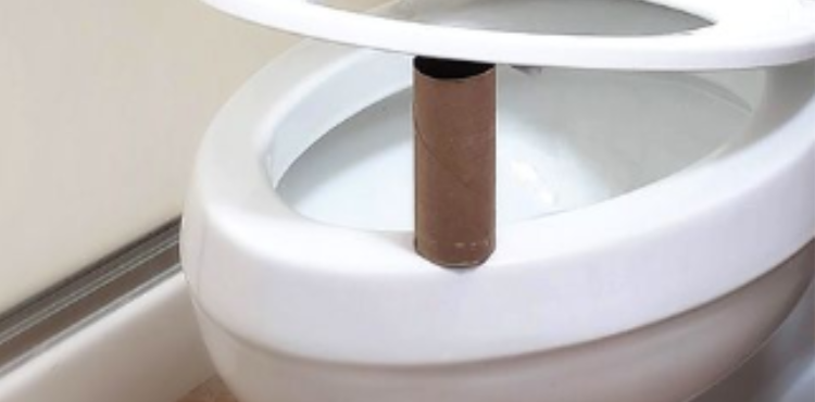 Why Put Empty Toilet Paper Roll under Toilet Seat