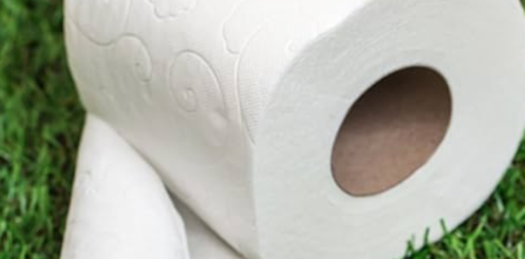 Is Septic Safe Toilet Paper Ok for Rv