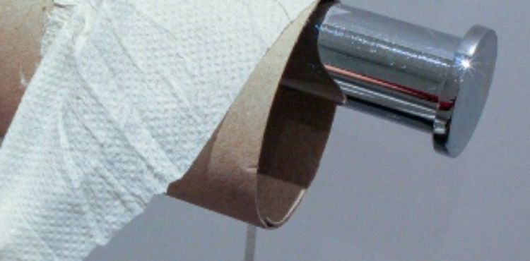 How to Get Paper Towel Out of Toilet